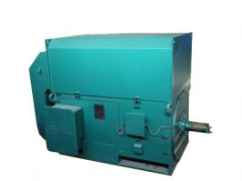 YKK、YXKK高壓三相異步電動(dòng)機(jī)高壓電機(jī)6KV 10KV高壓電機(jī)